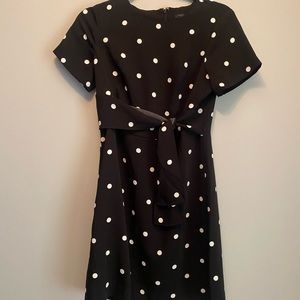 Ann Taylor | Polka Dot Dress
